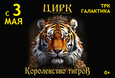 Цирк Династии Довгалюк Краснодар