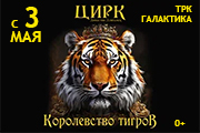 Цирк Династии Довгалюк Краснодар