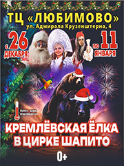 Кремлевская Ёлка в цирке шапито в Краснодаре