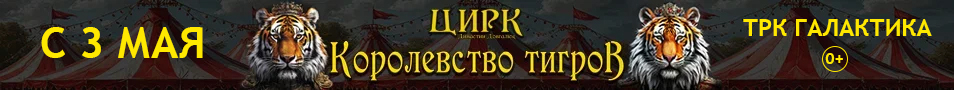 Цирк Династии Довгалюк Краснодар