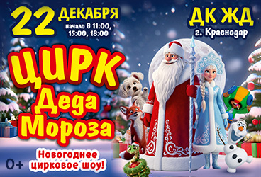 Цирк Деда Мороза