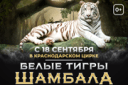 Шоу белых тигров Шамбала