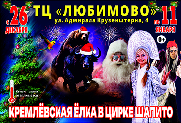 Кремлевская Ёлка в цирке шапито в Краснодаре