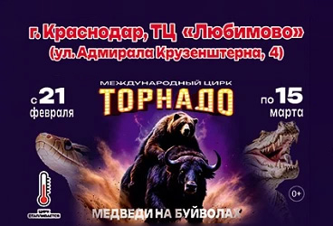 &Mcy;&iecy;&zhcy;&dcy;&ucy;&ncy;&acy;&rcy;&ocy;&dcy;&ncy;&ycy;&jcy; &tscy;&icy;&rcy;&kcy; "&Tcy;&ocy;&rcy;&ncy;&acy;&dcy;&ocy;"&period;&Mcy;&iecy;&dcy;&vcy;&iecy;&dcy;&icy; &ncy;&acy; &bcy;&ucy;&jcy;&vcy;&ocy;&lcy;&acy;&khcy;