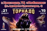 &Mcy;&iecy;&zhcy;&dcy;&ucy;&ncy;&acy;&rcy;&ocy;&dcy;&ncy;&ycy;&jcy; &tscy;&icy;&rcy;&kcy; "&Tcy;&ocy;&rcy;&ncy;&acy;&dcy;&ocy;"&period;&Mcy;&iecy;&dcy;&vcy;&iecy;&dcy;&icy; &ncy;&acy; &bcy;&ucy;&jcy;&vcy;&ocy;&lcy;&acy;&khcy;